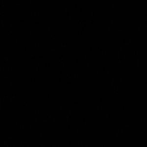 Meet your Posher, Anahi